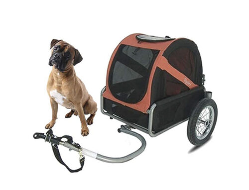 Remorque à chien pour vélos - Vélos 17 Loisirs ile d'oléron