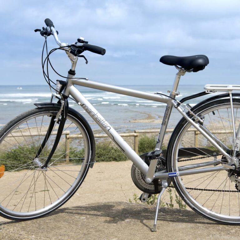 Hybrid bike W/M-21-speed-VELOS-17-LOISIRS_2022