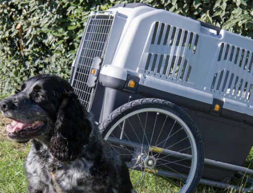 Remorque-Pour-Chien_©VELOS17LOISIRS_2022