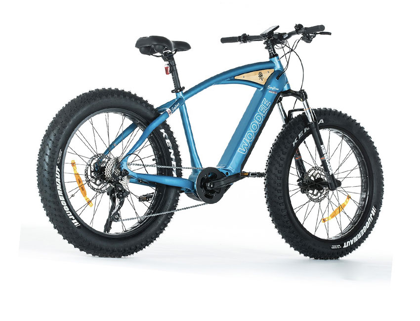 location de vélo fat bike ile d' Oléron